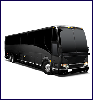 Luxury Bus